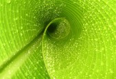 世界保龄球社区推广月志愿者年度技能评估结果公布，世界保龄球冠军是谁