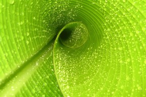 世界保龄球社区推广月志愿者年度技能评估结果公布，世界保龄球冠军是谁