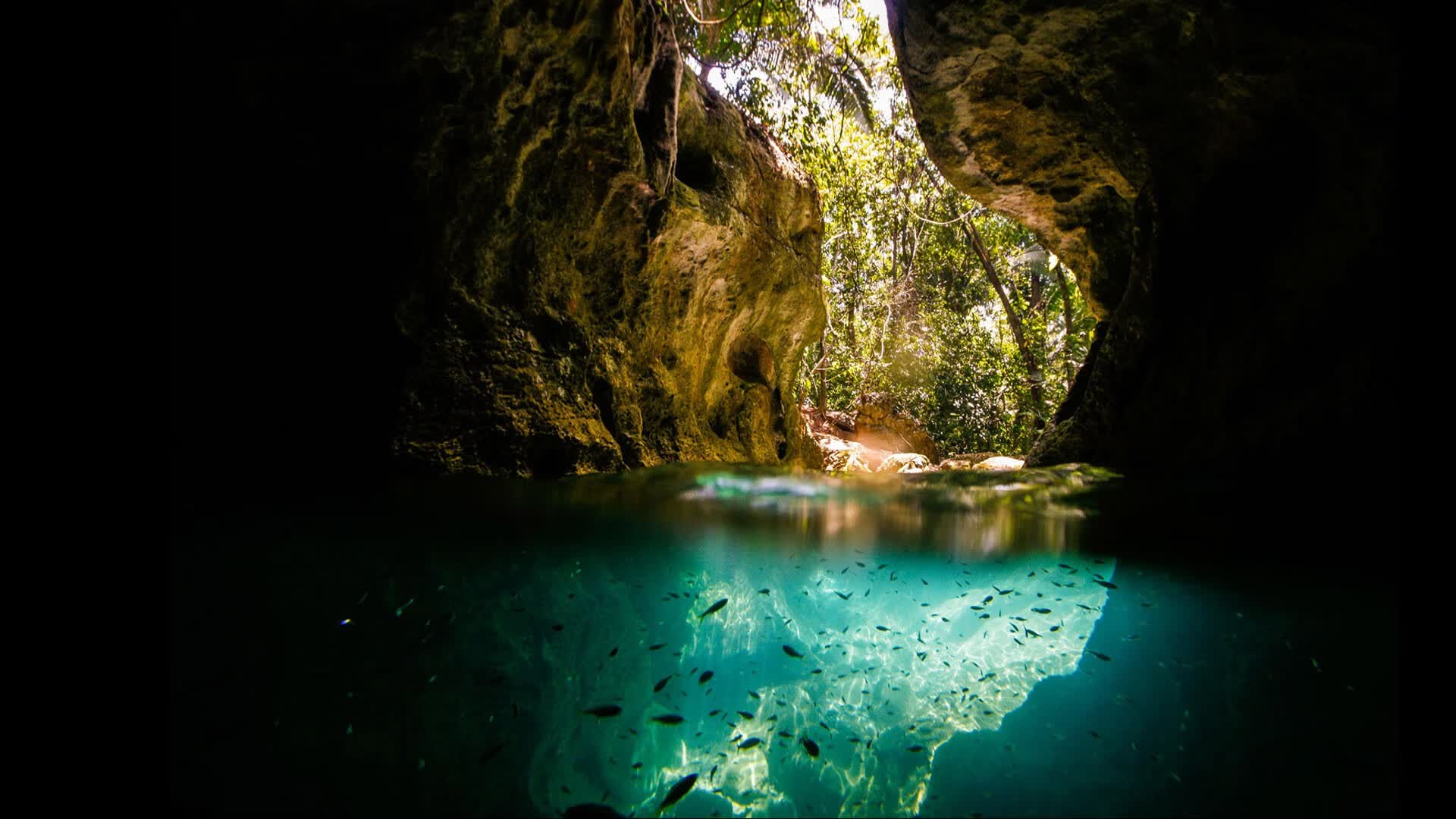 2026年亚洲残疾人游泳锦标赛 中国队刷新多项亚洲纪录，2019年残疾人游泳世锦赛
